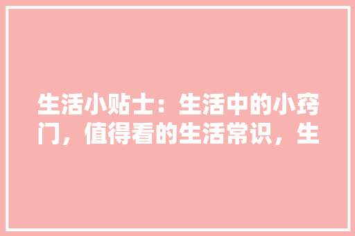 0075代码人工智能的神奇力量