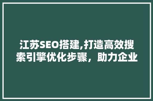江苏SEO搭建,打造高效搜索引擎优化步骤，助力企业腾飞