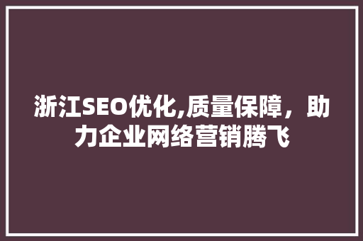浙江SEO优化,质量保障，助力企业网络营销腾飞