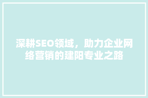 深耕SEO领域，助力企业网络营销的建阳专业之路