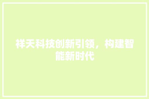 祥天科技创新引领，构建智能新时代