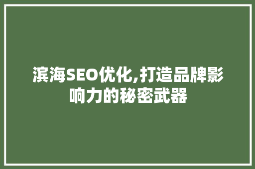 滨海SEO优化,打造品牌影响力的秘密武器