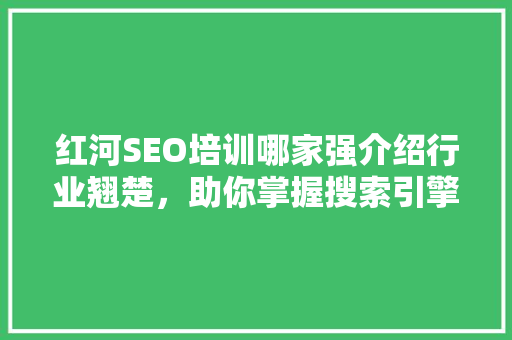 红河SEO培训哪家强介绍行业翘楚，助你掌握搜索引擎优化之路