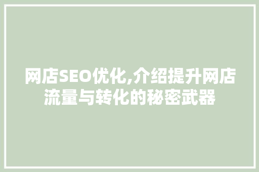 网店SEO优化,介绍提升网店流量与转化的秘密武器