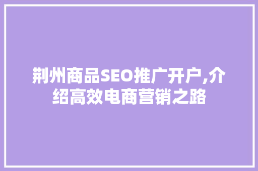 荆州商品SEO推广开户,介绍高效电商营销之路