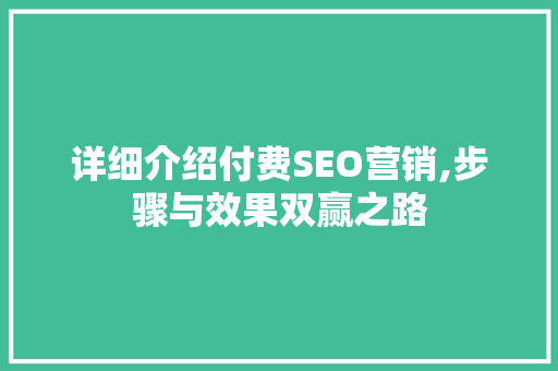 详细介绍付费SEO营销,步骤与效果双赢之路