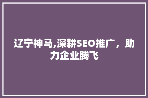 辽宁神马,深耕SEO推广，助力企业腾飞