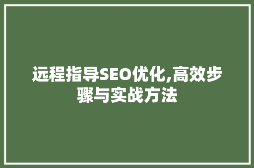 远程指导SEO优化,高效步骤与实战方法