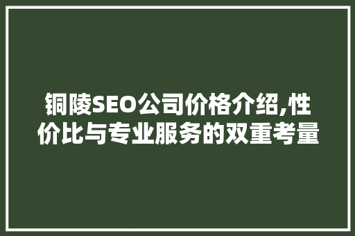 铜陵SEO公司价格介绍,性价比与专业服务的双重考量