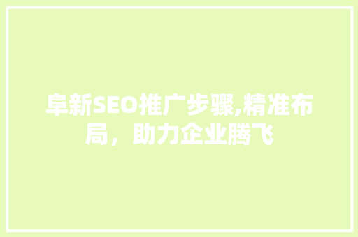 阜新SEO推广步骤,精准布局，助力企业腾飞