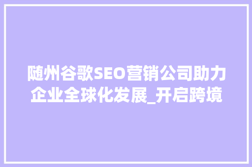 随州谷歌SEO营销公司助力企业全球化发展_开启跨境电商新篇章