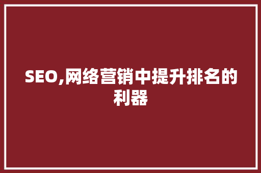 SEO,网络营销中提升排名的利器