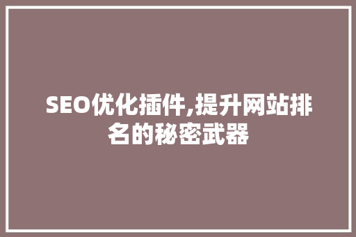 SEO优化插件,提升网站排名的秘密武器