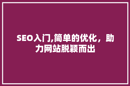 SEO入门,简单的优化，助力网站脱颖而出