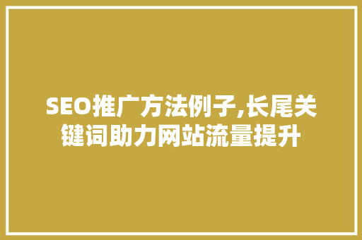 SEO推广方法例子,长尾关键词助力网站流量提升
