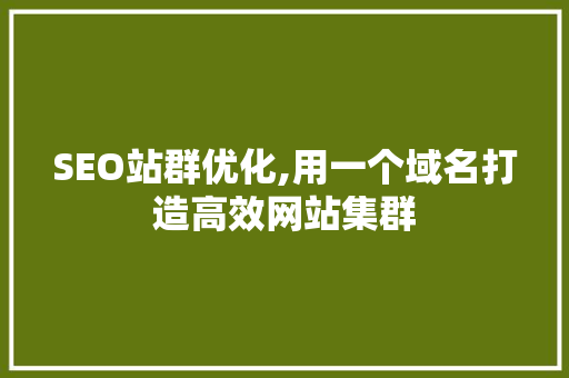 SEO站群优化,用一个域名打造高效网站集群