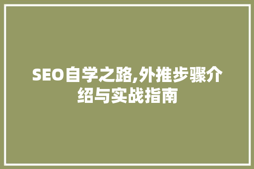 SEO自学之路,外推步骤介绍与实战指南