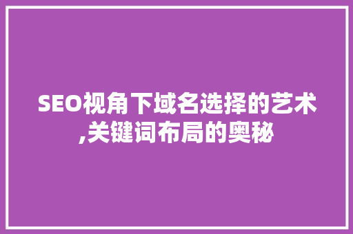 SEO视角下域名选择的艺术,关键词布局的奥秘