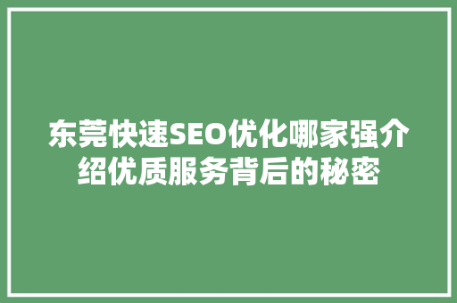 东莞快速SEO优化哪家强介绍优质服务背后的秘密