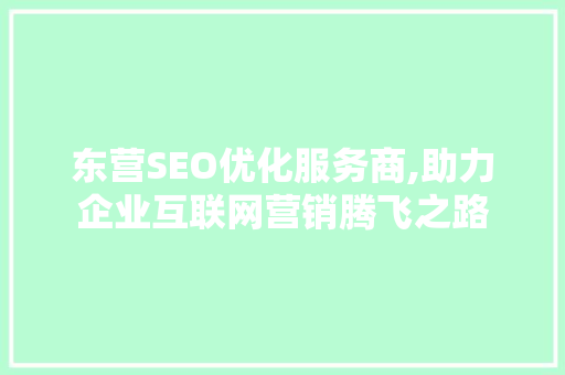 东营SEO优化服务商,助力企业互联网营销腾飞之路