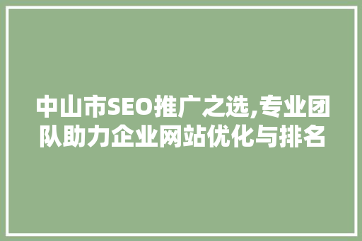 中山市SEO推广之选,专业团队助力企业网站优化与排名提升