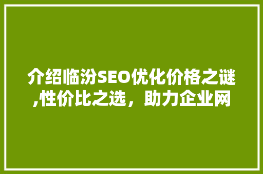 介绍临汾SEO优化价格之谜,性价比之选，助力企业网络腾飞