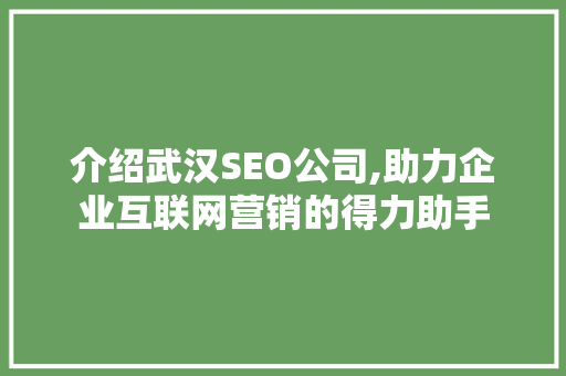 介绍武汉SEO公司,助力企业互联网营销的得力助手