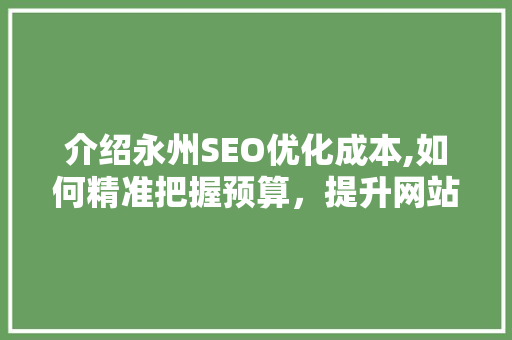 介绍永州SEO优化成本,如何精准把握预算，提升网站排名