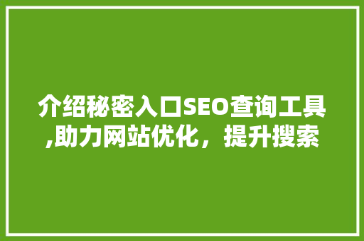 介绍秘密入口SEO查询工具,助力网站优化，提升搜索引擎排名