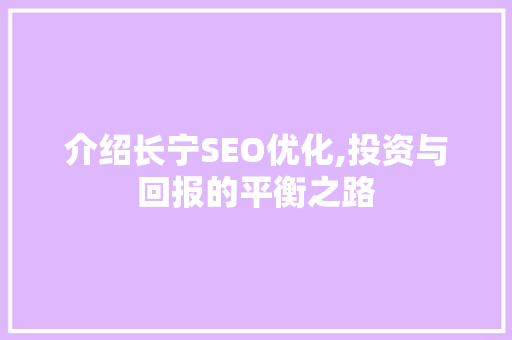 介绍长宁SEO优化,投资与回报的平衡之路  第1张