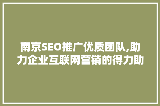南京SEO推广优质团队,助力企业互联网营销的得力助手