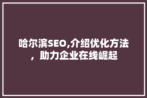 哈尔滨SEO,介绍优化方法，助力企业在线崛起