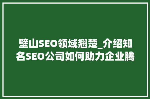 壁山SEO领域翘楚_介绍知名SEO公司如何助力企业腾飞