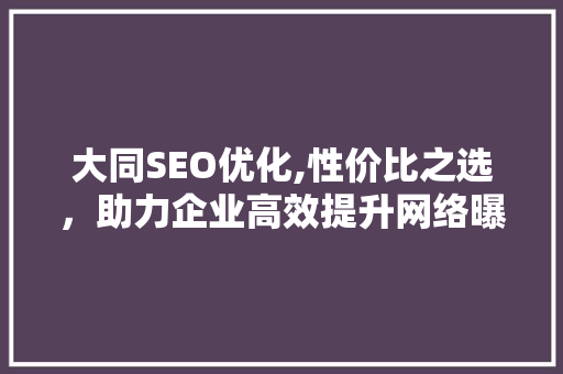 大同SEO优化,性价比之选，助力企业高效提升网络曝光
