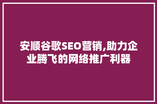 安顺谷歌SEO营销,助力企业腾飞的网络推广利器