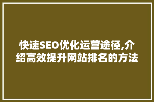 快速SEO优化运营途径,介绍高效提升网站排名的方法