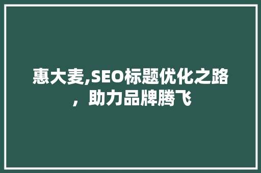 惠大麦,SEO标题优化之路，助力品牌腾飞