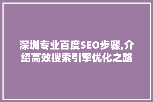 深圳专业百度SEO步骤,介绍高效搜索引擎优化之路