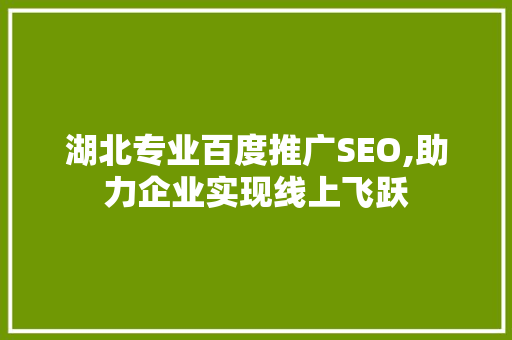 湖北专业百度推广SEO,助力企业实现线上飞跃