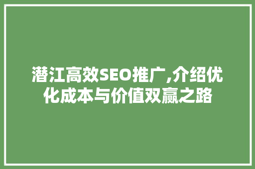 潜江高效SEO推广,介绍优化成本与价值双赢之路