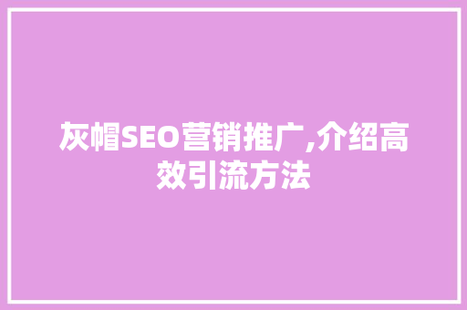 灰帽SEO营销推广,介绍高效引流方法  第1张