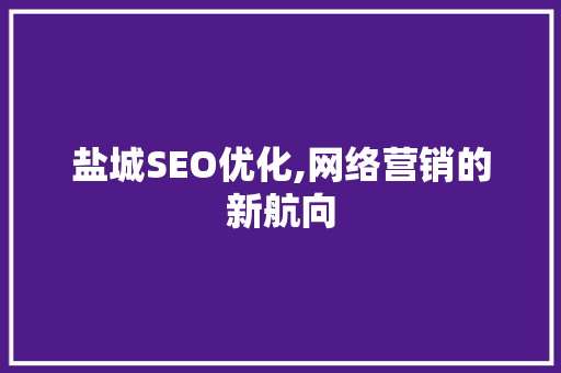 盐城SEO优化,网络营销的新航向