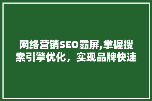网络营销SEO霸屏,掌握搜索引擎优化，实现品牌快速崛起