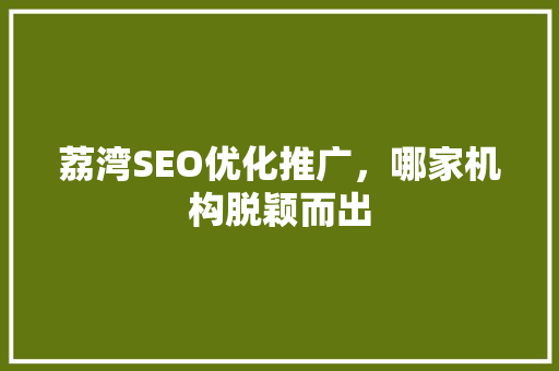 荔湾SEO优化推广，哪家机构脱颖而出