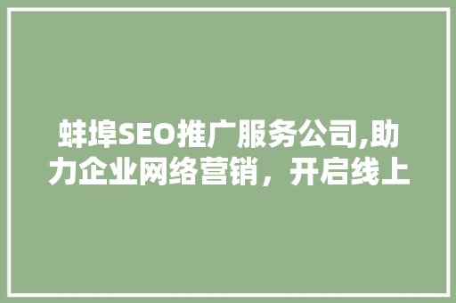 蚌埠SEO推广服务公司,助力企业网络营销，开启线上增长新篇章