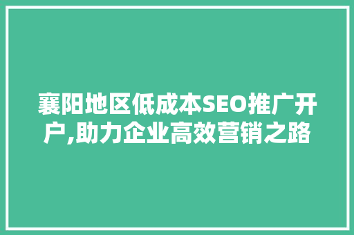 襄阳地区低成本SEO推广开户,助力企业高效营销之路