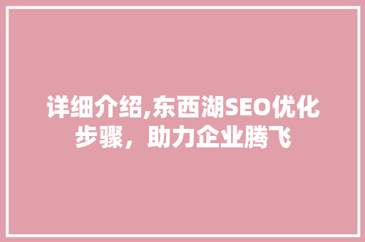 详细介绍,东西湖SEO优化步骤，助力企业腾飞