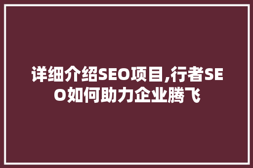 详细介绍SEO项目,行者SEO如何助力企业腾飞