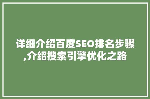 详细介绍百度SEO排名步骤,介绍搜索引擎优化之路