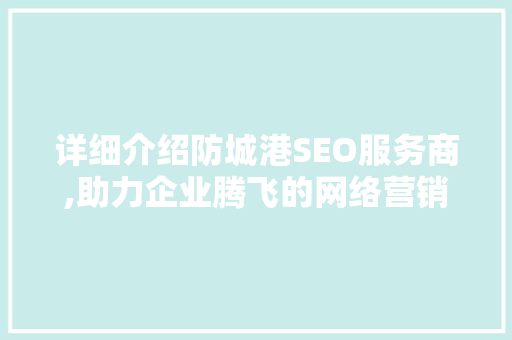 详细介绍防城港SEO服务商,助力企业腾飞的网络营销利器
